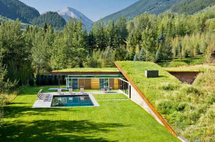 maison d' architecte contemporaine avec toiture végétalisée