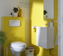 Peinture toilettes tendance : quelle couleur pour décorer les WC (2)