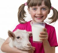 Savon au lait de chèvre : soin doux et naturel pour les peaux sensibles (2)