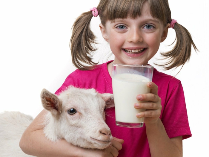 savon au lait de chèvre bienfaits du lait