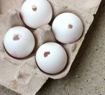 Comment faire des œufs de Pâques décoratifs en béton ? (1)