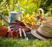 Jardinage conseils : soins pour le jardin au printemps (3)