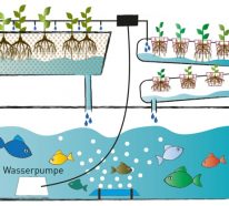 Système aquaponique maison pour un jardinage durable (2)