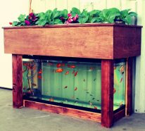 Système aquaponique maison pour un jardinage durable (4)