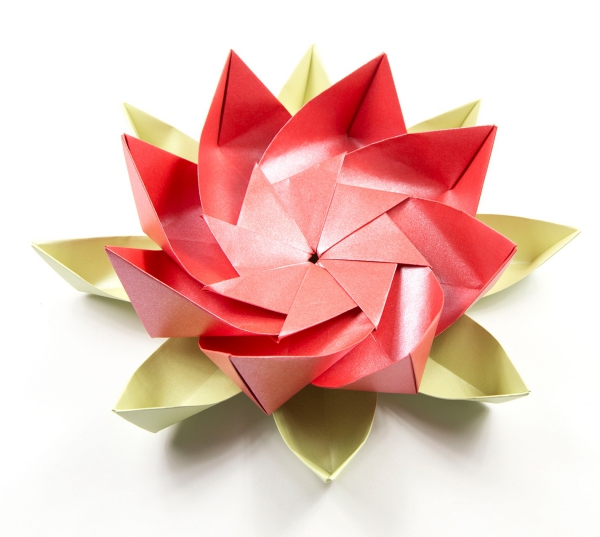 origami fleurs et animaux de printemps un lotus magnifique