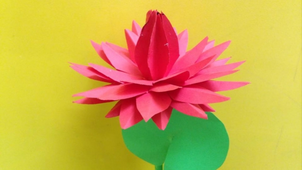 origami fleurs et animaux de printemps un nymphéa rouge