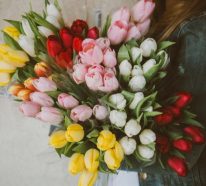 Bouquet de tulipes : conseils pour inviter le printemps dans votre intérieur (4)