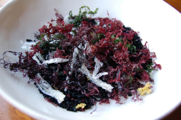 recette salade d'algues rouges