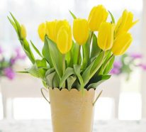 Bouquet de tulipes : conseils pour inviter le printemps dans votre intérieur (2)