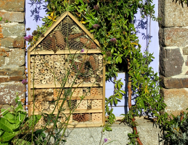 jardin vivant biodiversité hôtel à insectes