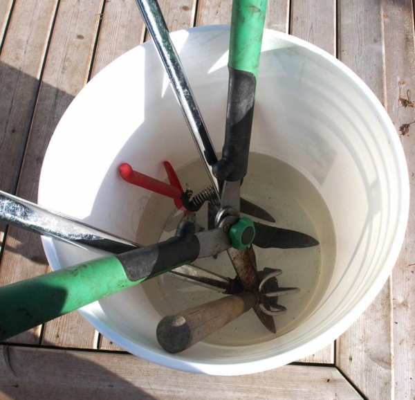 5 façons d'utiliser le savon de Castille dans le jardin nettoyage d'outils de jardinage