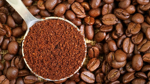 Anti-fourmis naturel sans danger pour enfants et animaux domestiques café