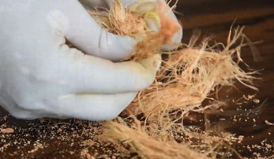 Comment fabriquer vous-même de la tourbe de coco assortir les fibres