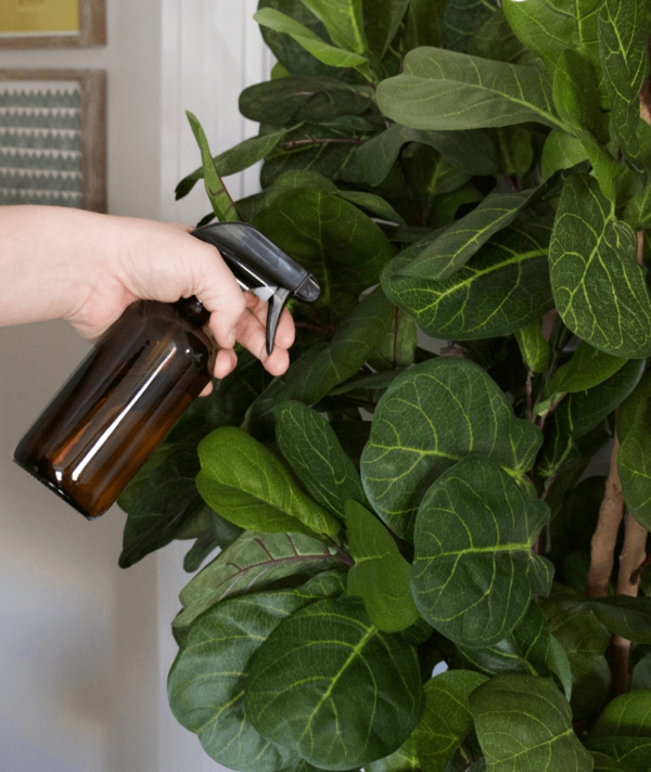 Eau oxygénée 20 utilisations dans la maison et le jardin battre la moisissure et le mildiou