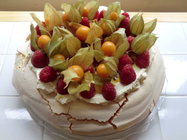 Le Fruit Physalis Pourquoi L Applique T On Dans La Cuisine Et La Medecine