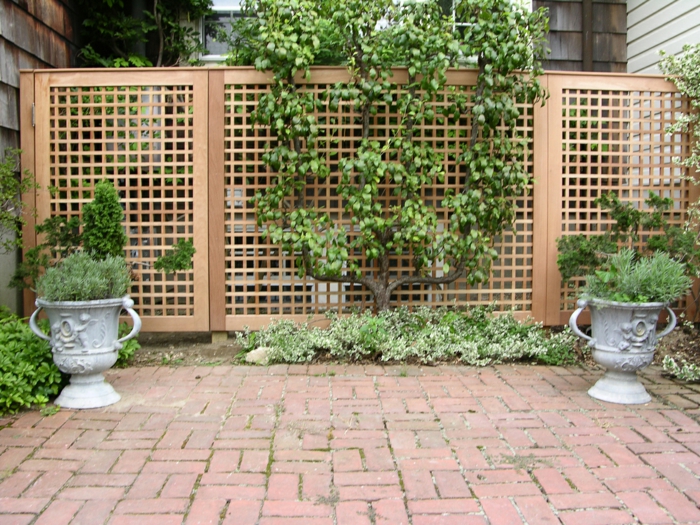 idée de claustra végétalisé pour votre jardin
