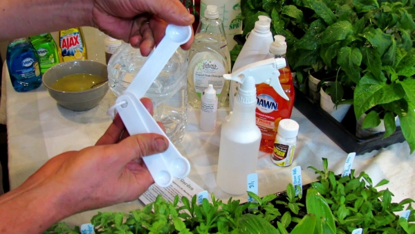 Comment se débarrasser des limaces préparer des extraits