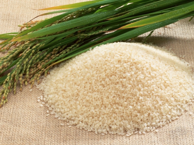 aliments contre la diarrhée du riz