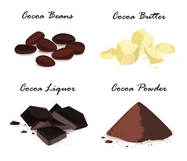 beurre de cacao quatre états