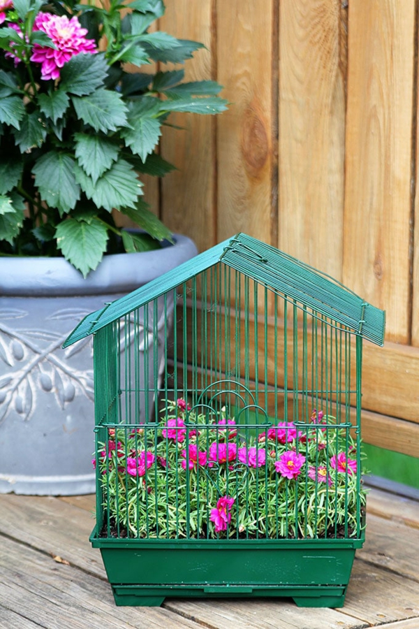 déco cage oiseau avec des fleurs vivantes jardin