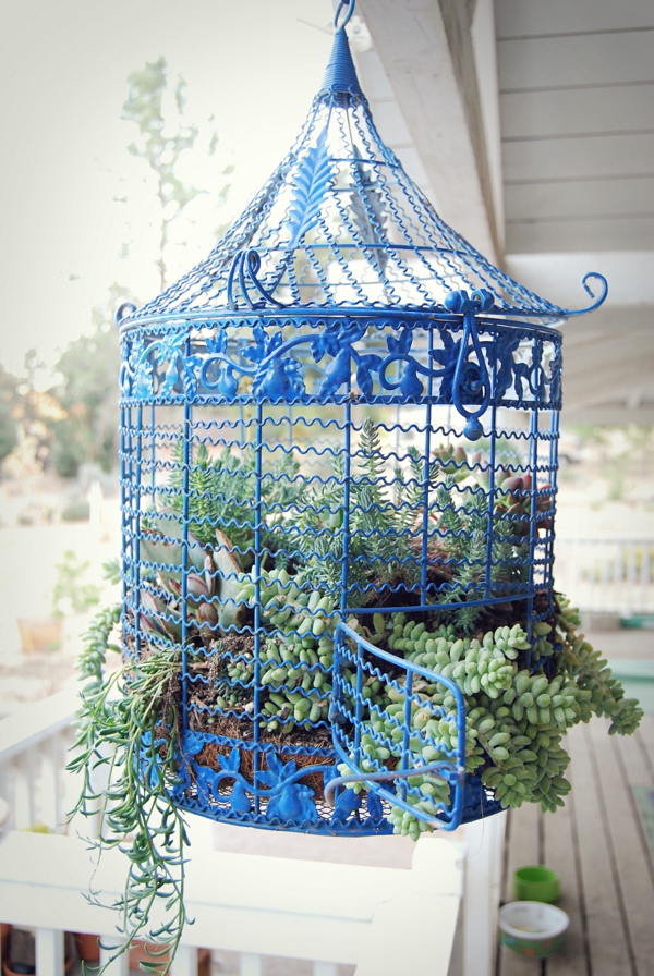 déco cage oiseau terrasse jardinières de succulentes