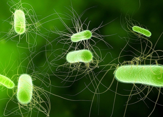 mauvaise odeur maison milliards de bactéries
