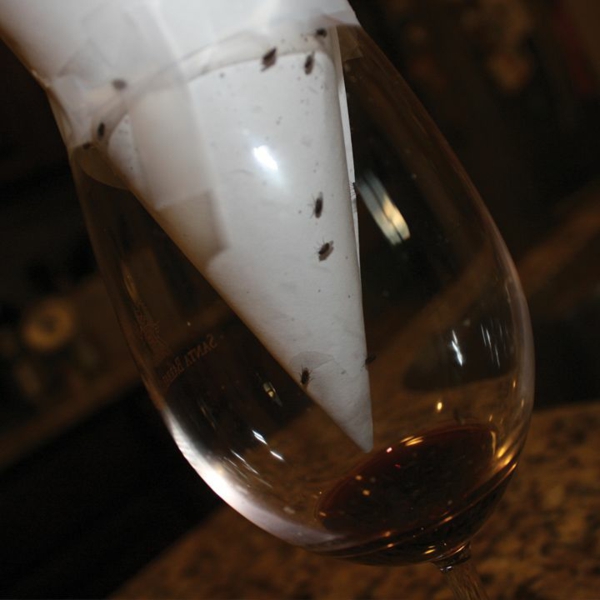 méthodes naturelles de chasser les mouches piège à mouches avec du vin