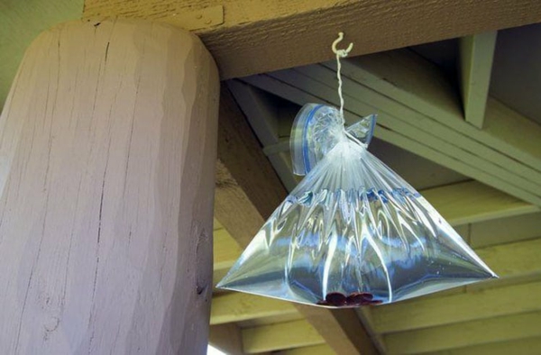 méthodes naturelles de chasser les mouches sacs en plastique pleins d'eau