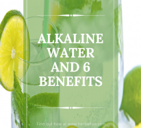 Comment alcaliniser l’eau pour profiter de ses bienfaits ? (4)