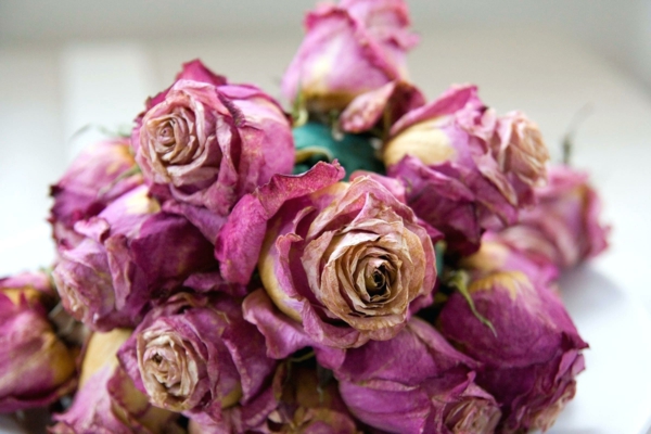 conserver un bouquet de mariage fleurs séchées gel de silice
