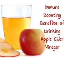 Bienfaits miel et pommes pour la perte de poids et une forte immunité (4)