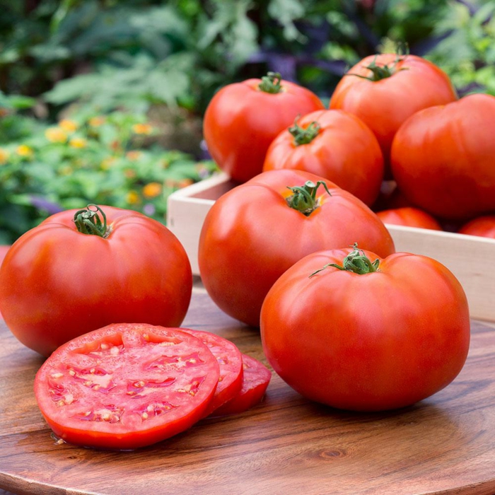 chakchouka plat à base de tomates