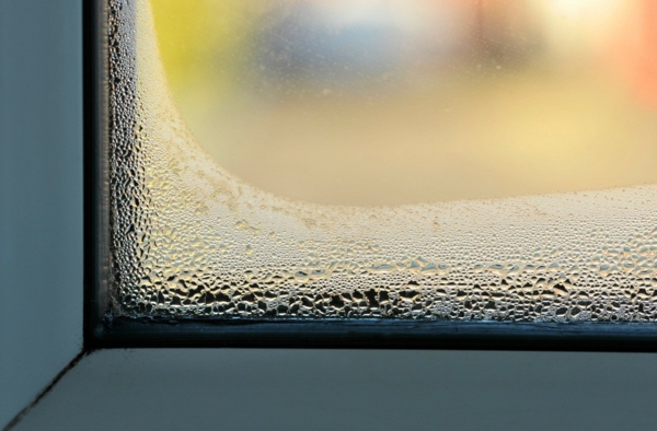 humidité condensation moisissure condensation sur les vitres des fenêtres