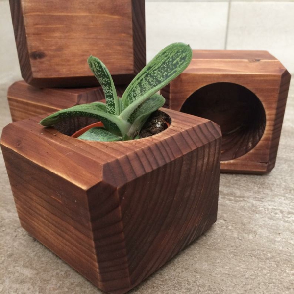 cadeau zéro déchet cache-pot de plantes en bois