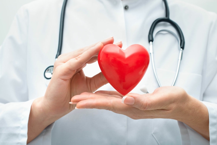 système cardivasculaire en bonne santé litchi bienfaits
