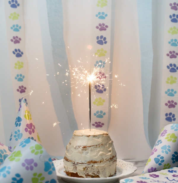 Recette de gâteau d'anniversaire pour chien sans céréales