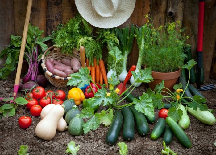 fruits et légumes jardiner avec la lune conseils