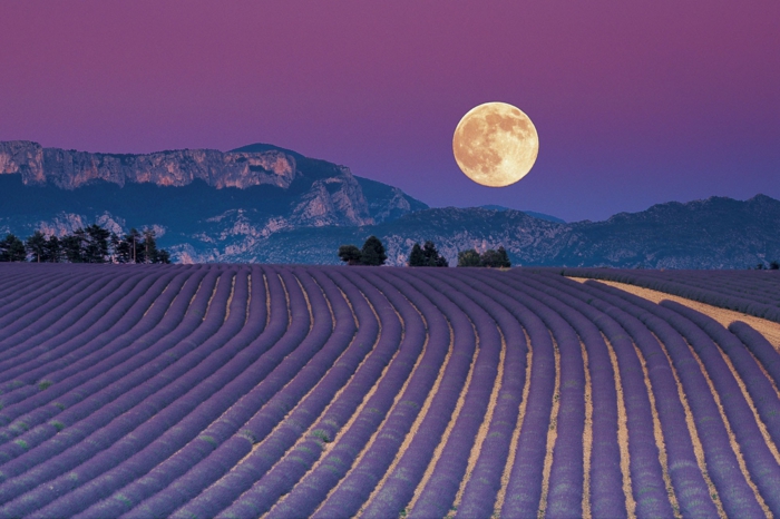 Jardiner Avec La Lune Calendrier Lunaire De Fevrier 2020