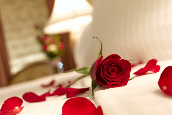 pétales de roses déco chambre romantique