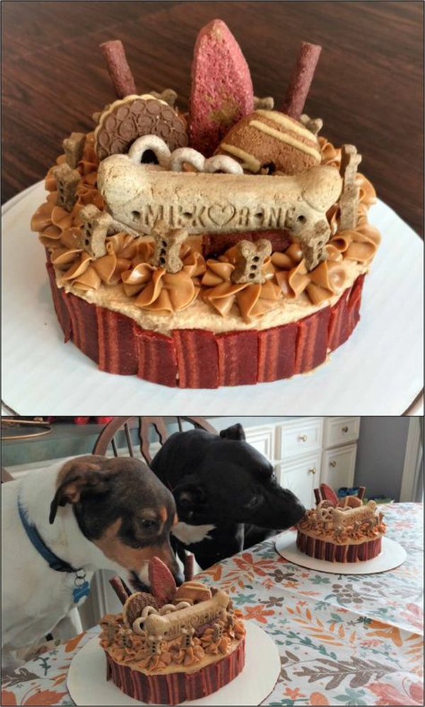 Gateau D Anniversaire Pour Chien Recettes Pour Regaler Votre Ami Poilu