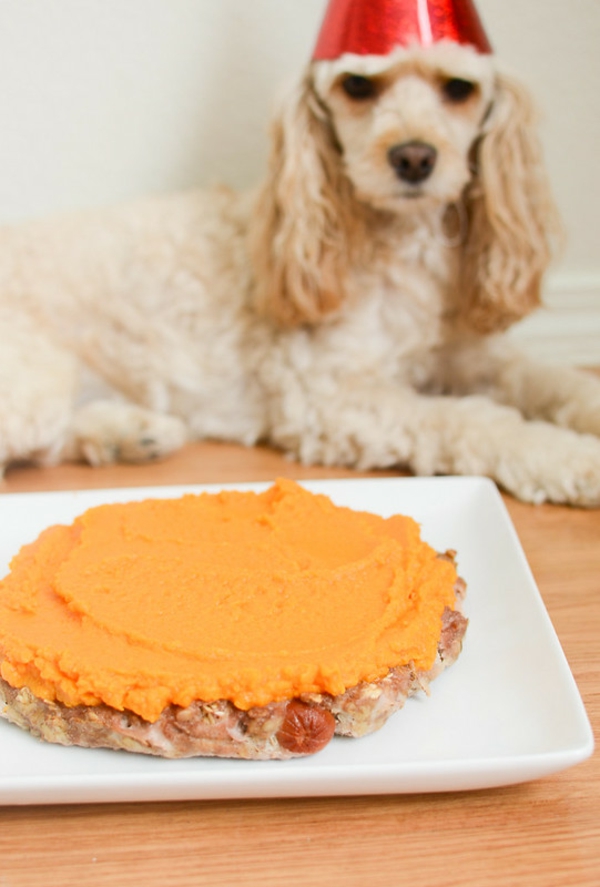 Gateau D Anniversaire Pour Chien Recettes Pour Regaler Votre Ami Poilu