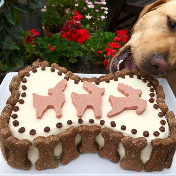 recette gâteau d'anniversaire pour chien au salami déco biscuits pour chien