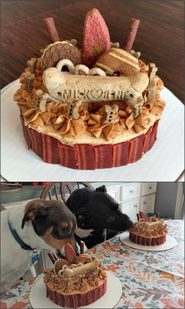 recette gâteau d'anniversaire pour chien décoration biscuits pour chien