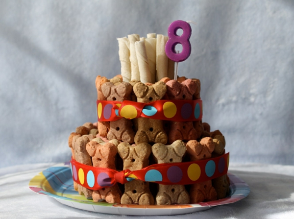 recette gâteau d'anniversaire pour chien fait de biscuits
