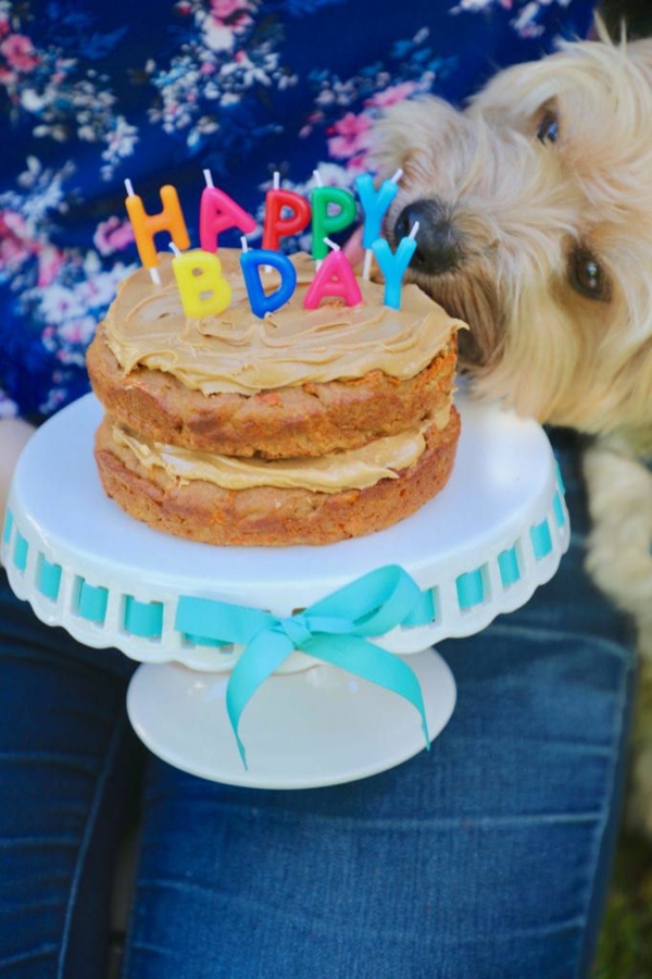 recette gâteau d'anniversaire pour chien glaçage beurre d'arachide