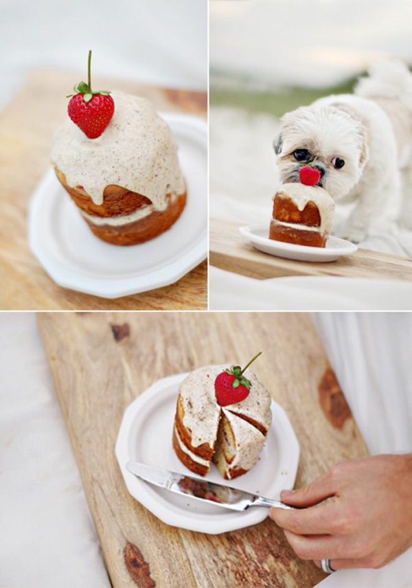 recette mini-gâteau d'anniversaire pour chien à la fraise