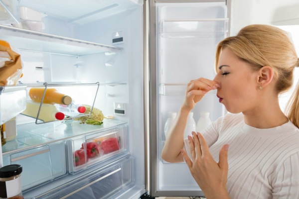 éliminer les mauvaises odeurs dans le réfrigérateur avec du thé