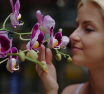 Bonne odeur maison : comment rafraîchir la maison avec l’odeur de l’orchidée (2)