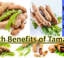 Le fruit tamarin : quels sont les bienfaits sur la santé et dans la cuisine (1)