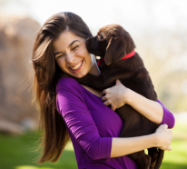 Quelle race de chien choisir? – les facteurs à prendre en vue avant le choix (3)